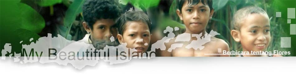 Pemandangan udara Pulau Flores